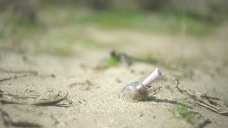 una nota en una botella en el suelo en el desierto atascado en la arena dorada con plantas verdes a su alrededor