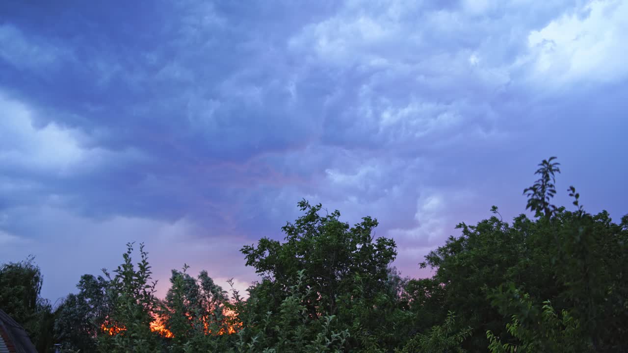 Strong wind shakes the tops of trees on the sky with lightning background. Strong lightning on the blue sky with moving clouds in the evening.