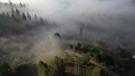 misty mountain valley