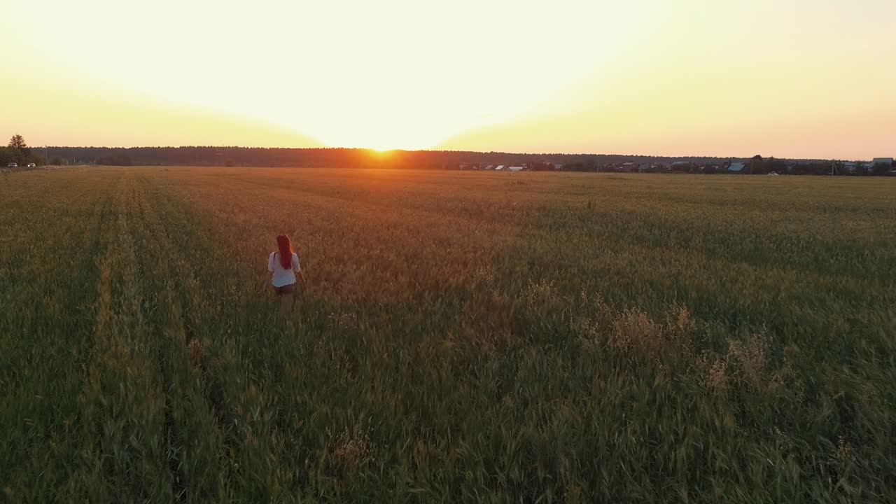 mujer caminando en un campo de trigo al atardecer