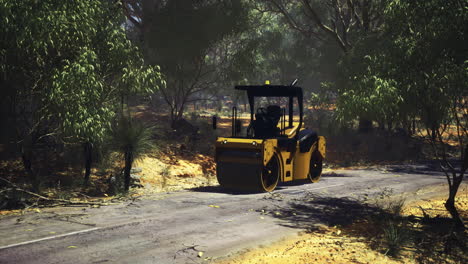heavy machinery clears a path through a dense forest landscape