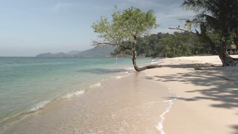 Árbol-Exótico-De-Playa-De-Arena-Blanca-Tropical,-Tiro-Lento-De-Carro-De-Agua-Turquesa