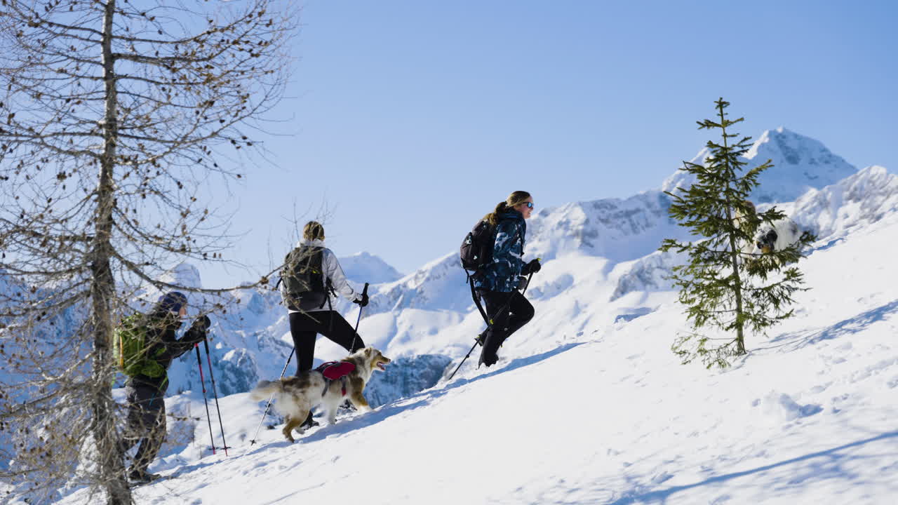 Group Snowshoeing in the Mountains