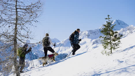 group snowshoeing in the mountains