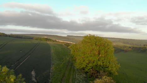 Aerial-cinematic-shot-of-english-country-road-in-green-countryside-during-sunset-with-bright-orange-glow-2