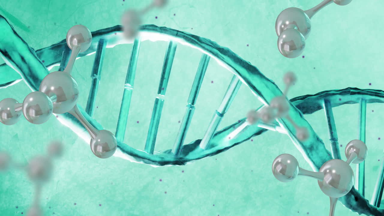 dna 가닥 스핀을 통해 분자의 애니메이션