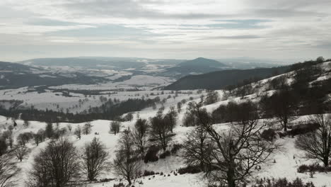 Paso-Elevado-Bajo-Sobre-árboles-De-Hoja-Caduca-Desnudos-Que-Salpican-El-Pintoresco-Paisaje-Invernal