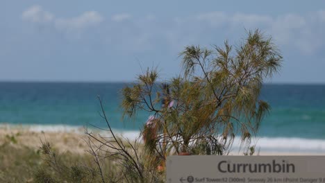 beach sign with ocean and people