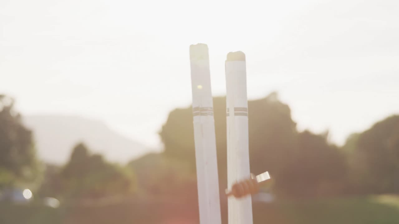 파괴 된 크리켓 우표 의 가까운 모습