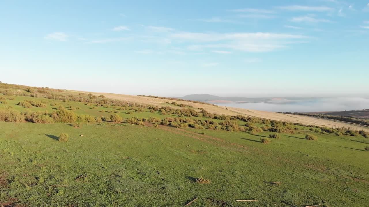 fotografía inversa de un avión no tripulado de un campo verde y campos agrícolas en un día soleado