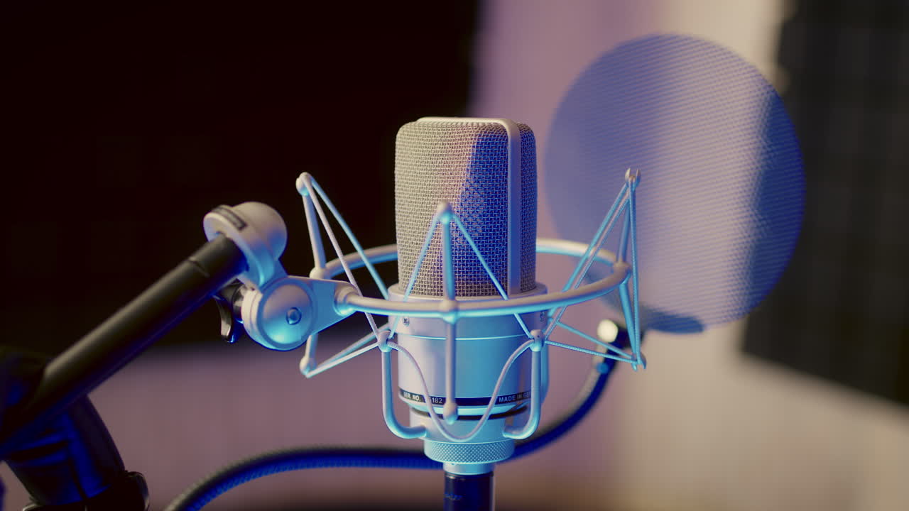 Professional Studio Microphone with Pop Filter