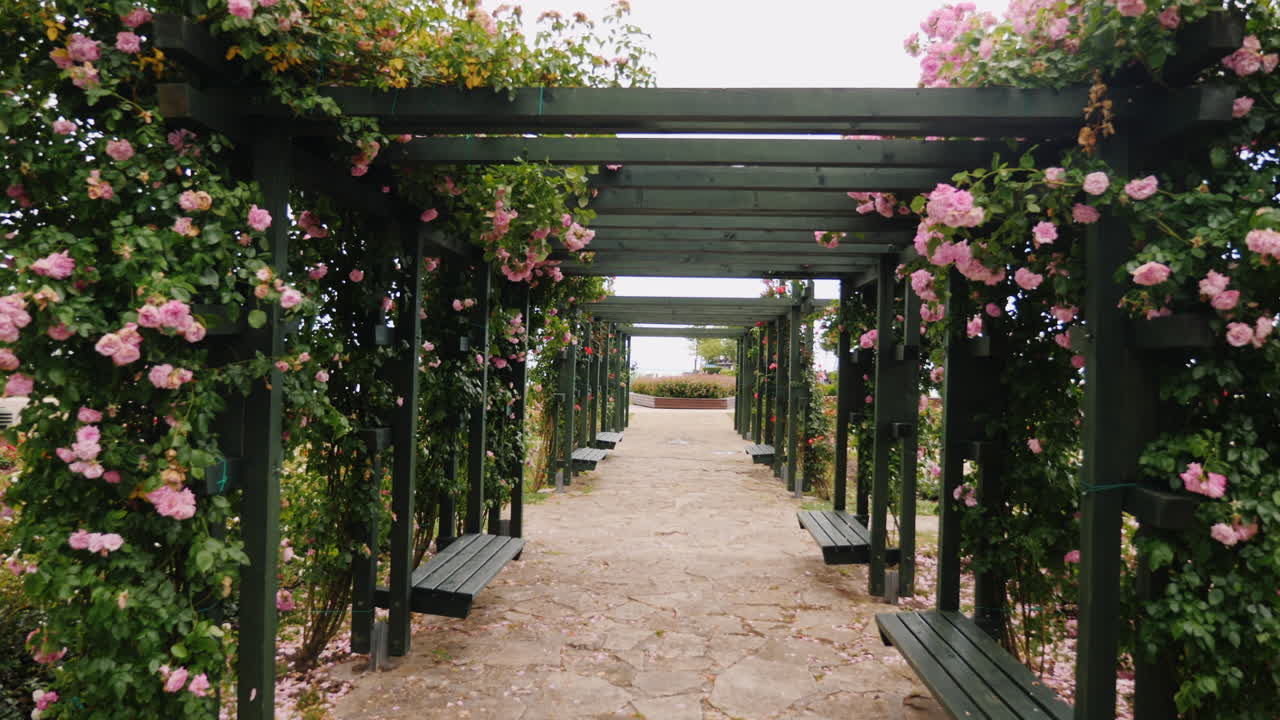 꽃이 만발한 정원 산책로