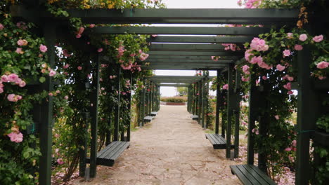 Garden-Walkway-with-Flowers