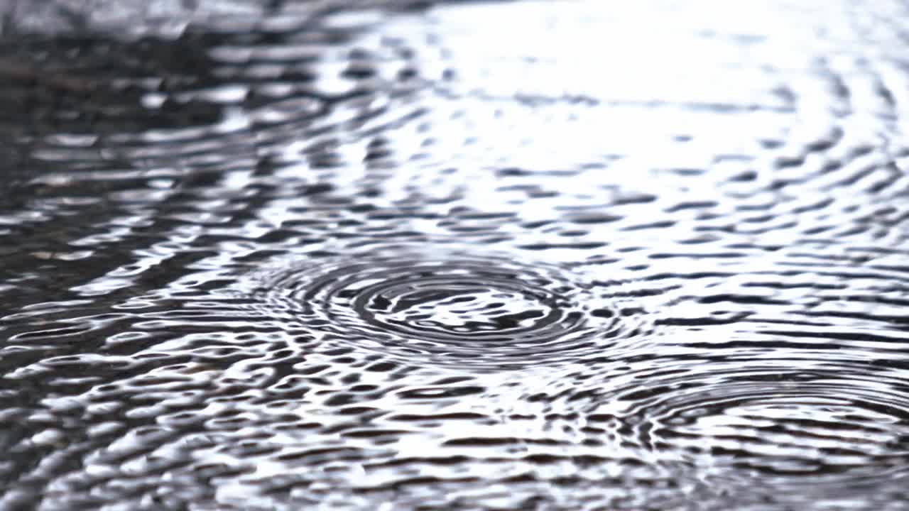 웅이의 물은 회전하고 이동하여 움직임의 본질을 포착합니다.