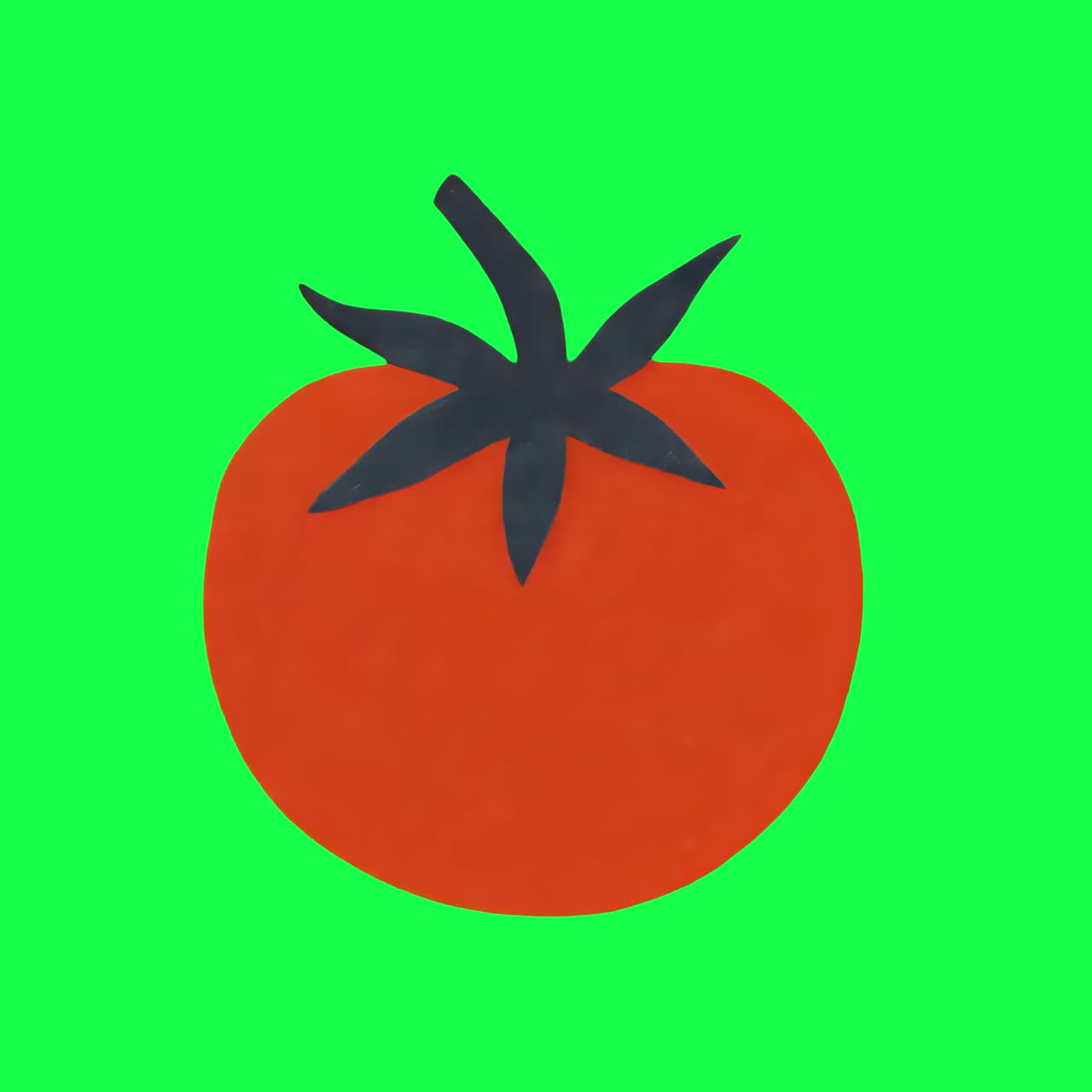 Vibrant tomato illustration animation, transparent 4K video, green screen