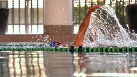 fit swimmer doing the back stroke in the swimming pool