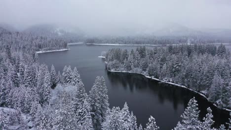 Sobrevuelo-Lento-De-Drones-De-árboles-Cubiertos-De-Nieve-Y-Lago-En-El-Norte-De-California