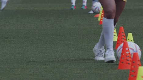 training soccer with cones on the arena