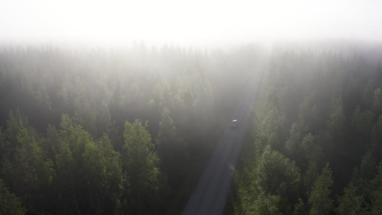 안개가 자욱한 숲 속 빈 길을 운전하는 자동차