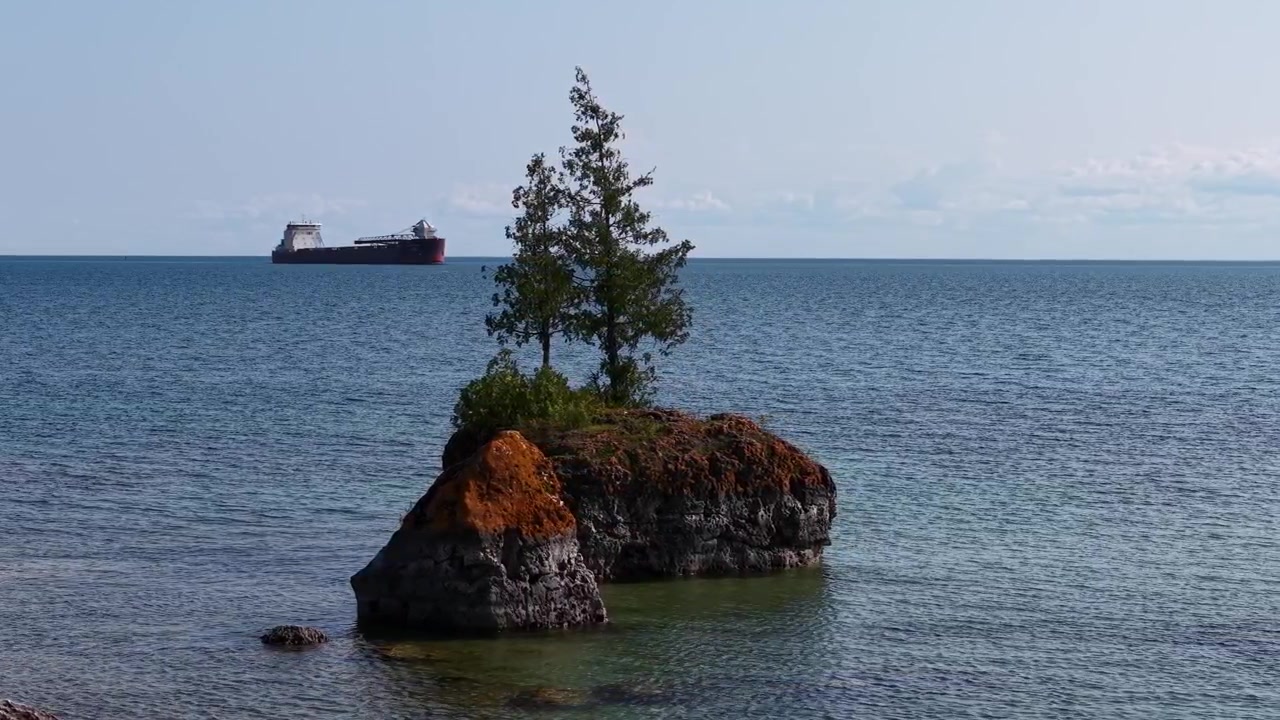 Vista aerea di una piccola isola con un albero a Hessel, Michigan, vicino al Lago Huron, che mostra la natura selvaggia e incontaminata.