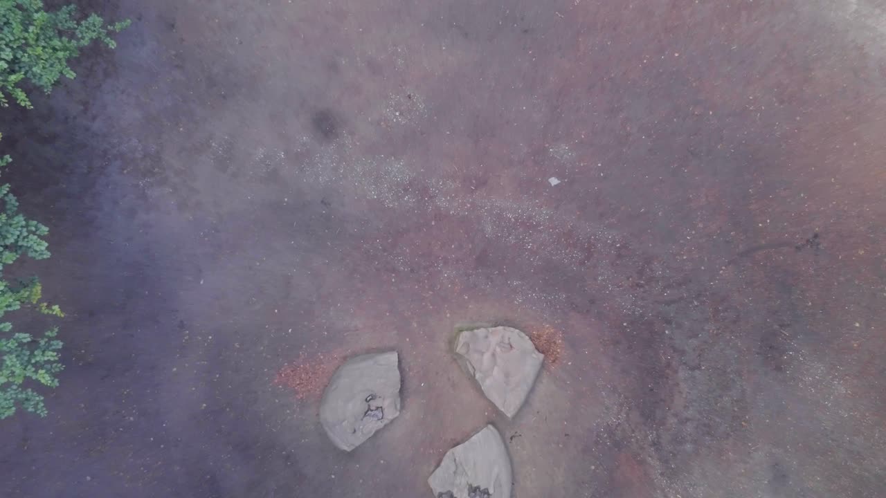 자연 탑샷을 통해 걷는 젊은 여자