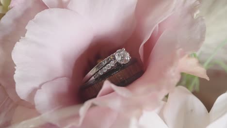primer plano, hermoso anillo de matrimonio de compromiso de diamantes dentro de pétalos de flores rosas