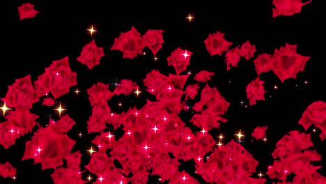 red rose particle loop animation