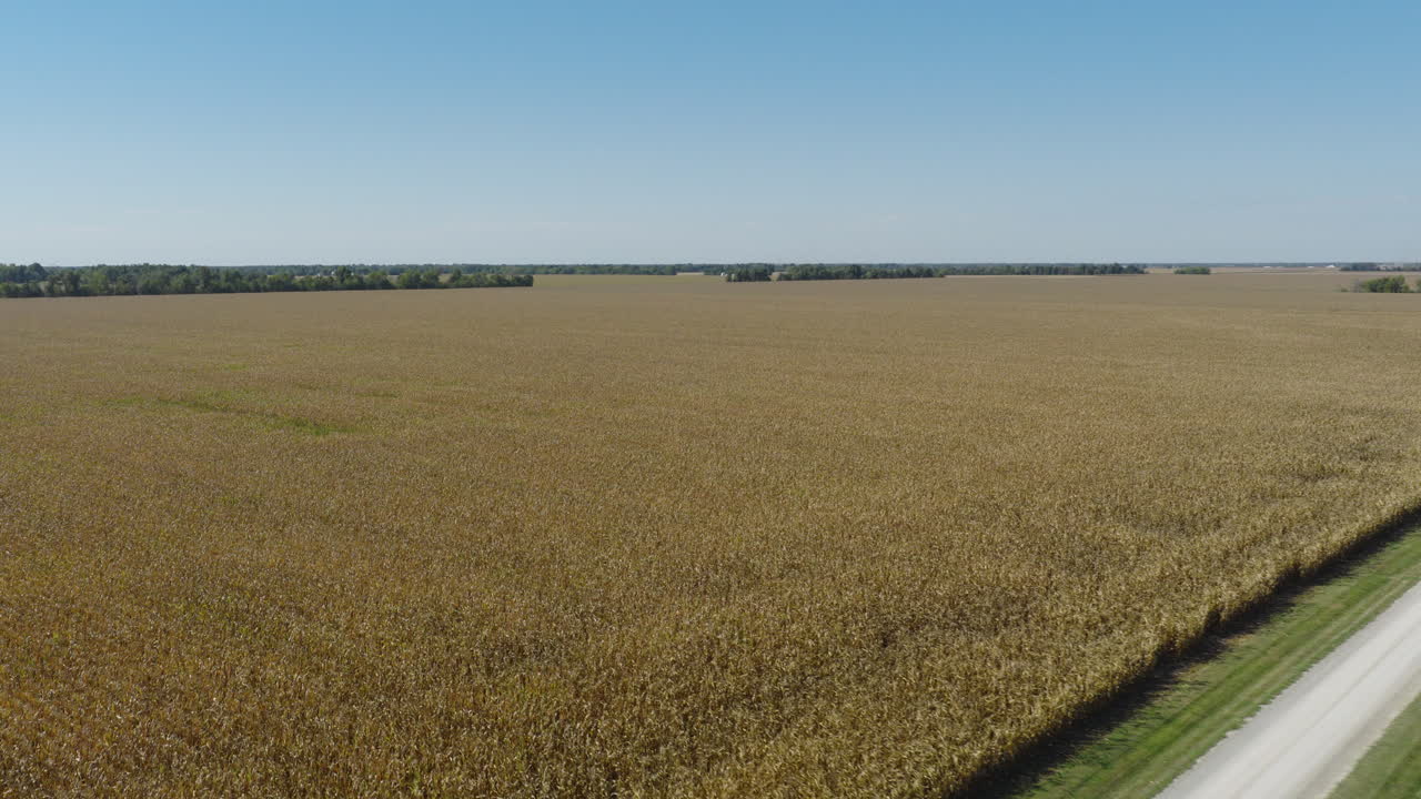 Drone angled approach over farm home buildings and adjacent fields during harvest season, open. blue sky and vast field