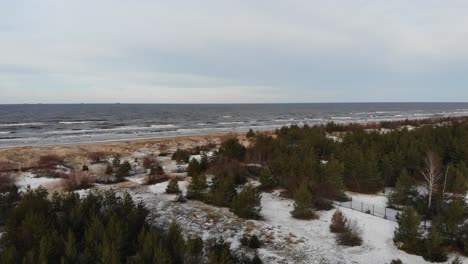 beautiful aerial view over spruce tree forest with land covered in snow on a cold winter day towards sandy seaside