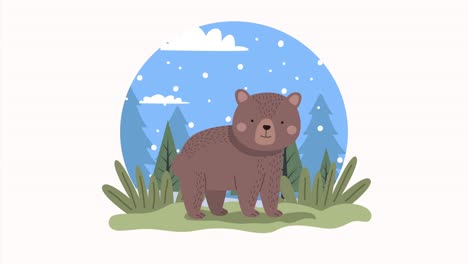 bear in landscape winter season