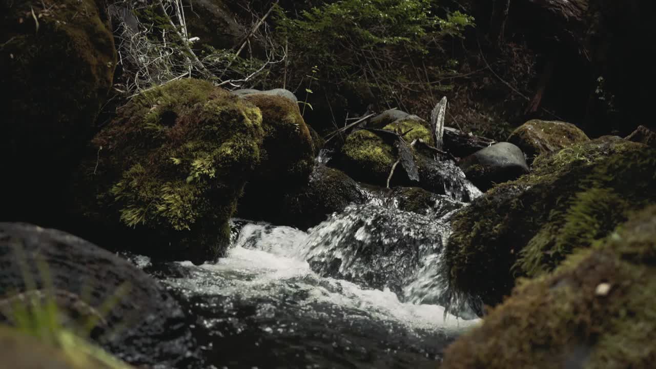 Flow of a river in the Andes mountain around the valley of Las Trancas near the Chillan hot springs in Chile, very green scenery with lots of nature around