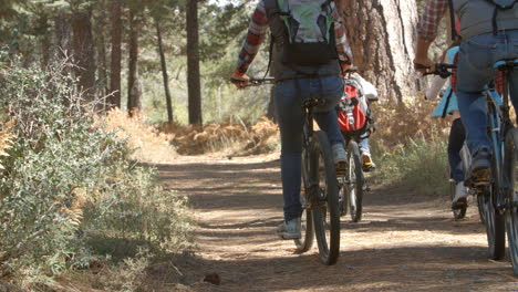 Familia-Montando-Bicicletas-De-Montaña-En-Un-Sendero-Forestal,-Vista-Posterior