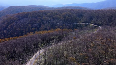 Camino-Sinuoso-A-Través-Del-Bosque-En-El-Parque-Nacional-Kosciuszko-En-Nueva-Gales-Del-Sur,-Australia