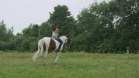 confiada jinete femenina montando un caballo a pelo a través de un campo-1