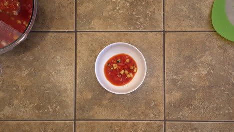 dishing up a fresh bowl of garden-grown homemade tomato soup from the family's secret recipes - overhead view