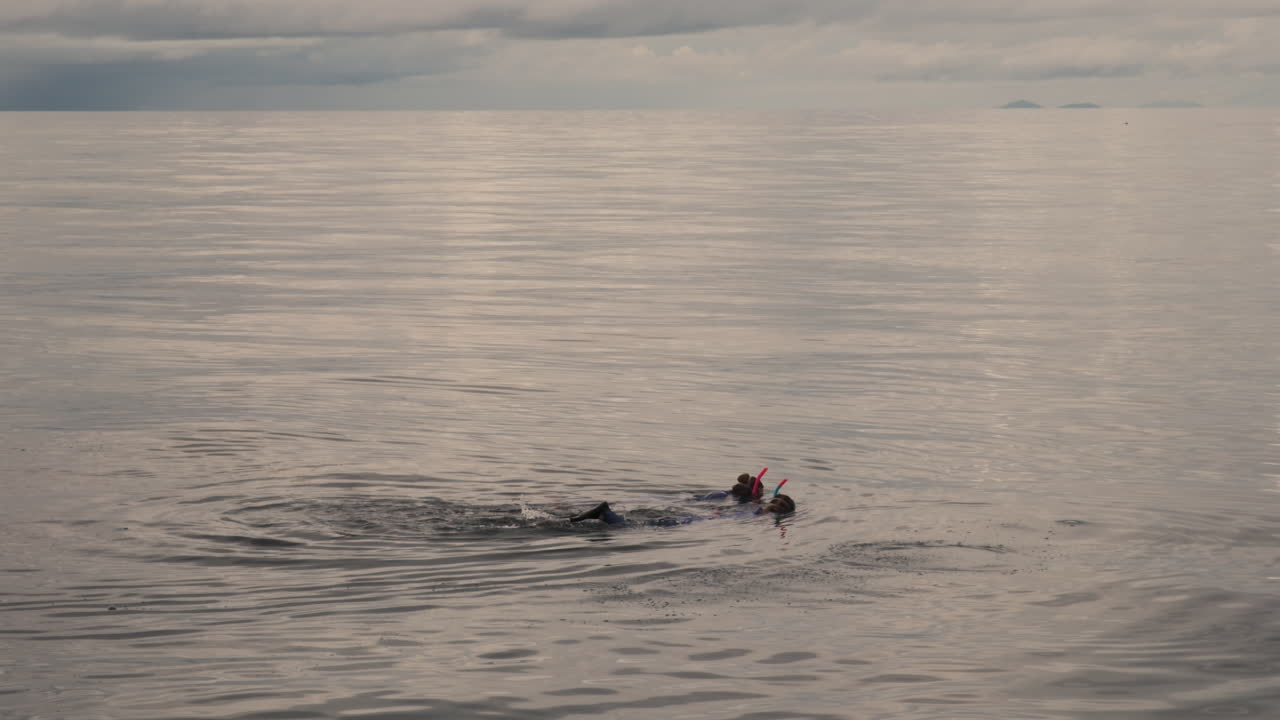 스노클링 장비를 입은 한 부부는 조용하고 구름이 가득한 아침 하늘 아래 큰 장벽 암초의 다채로운 산호를 탐험합니다.