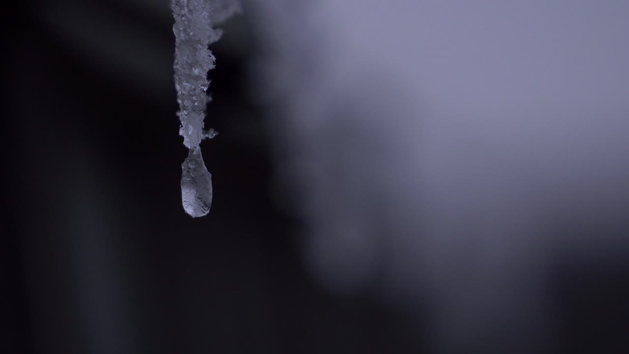 gotas de escarcha en un invernadero, primer plano. en 4k
