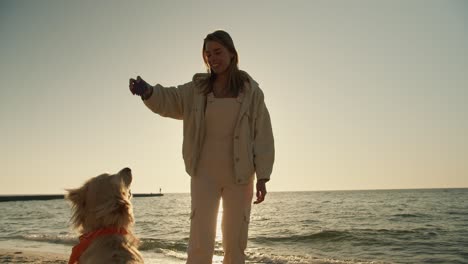 a blonde girl trains her big dog, light coloring, with new commands, plays with her in the morning on a sunny beach