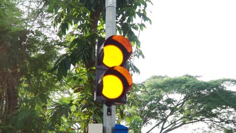 Yellow-traffic-light-flashing-with-trees-background