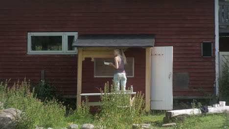 wide shot of beautiful blonde girl painting a red traditional finish house, nordic woman doing maintenance work, finland, scandinavia