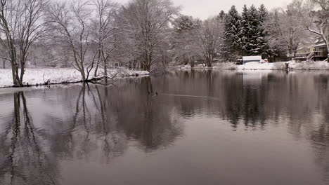 low hovering aerial shot of ducks on pond in connecticut in winter