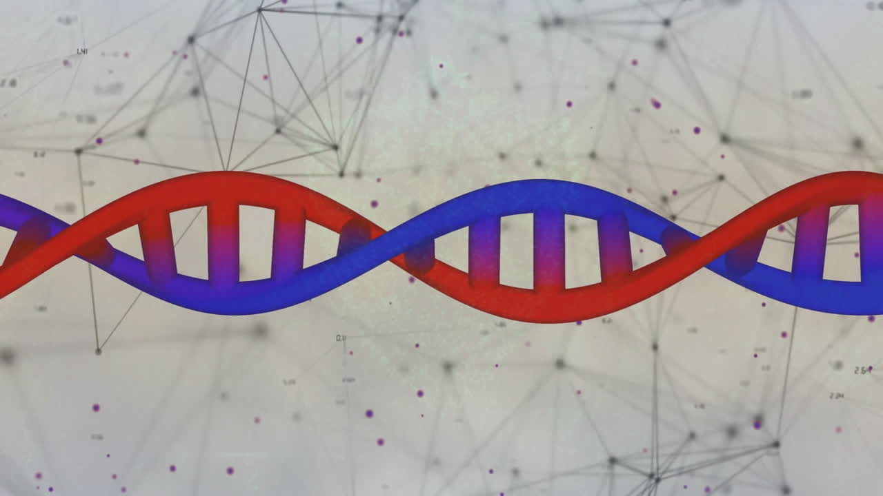 DNA strand with red and blue colors over network of connections animation
