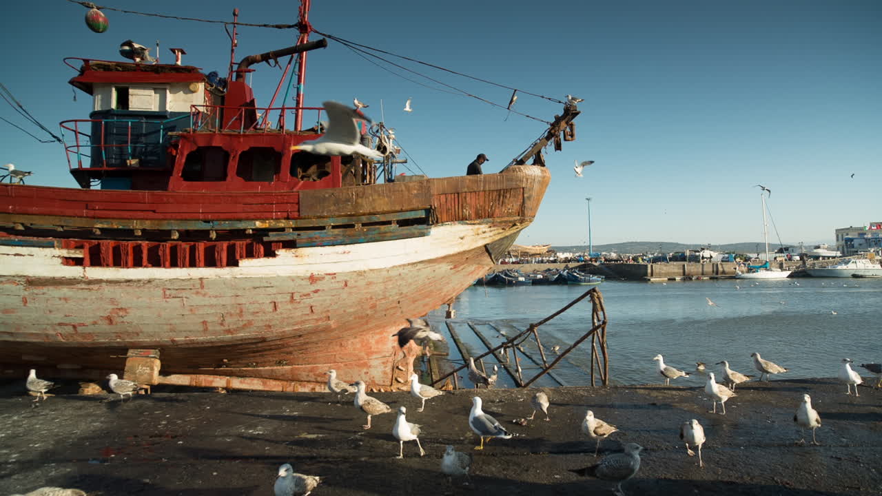 Essaouira Barche 16