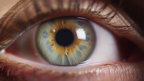 primer plano de un ojo humano