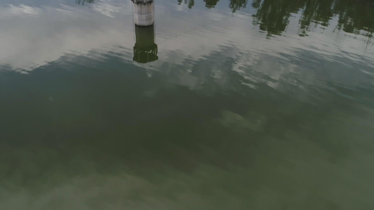 antena: drone inclinado hacia arriba en el lago verde