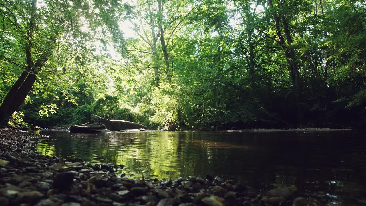 하천 물이 자갈에 부 ⁇ 히는 낮은 각도, 나무 가나피를 통해  ⁇ 빛