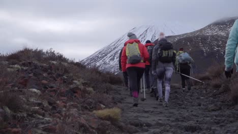 excursionistas subiendo al monte tongariro en invierno en un día nublado, excursión en grupo