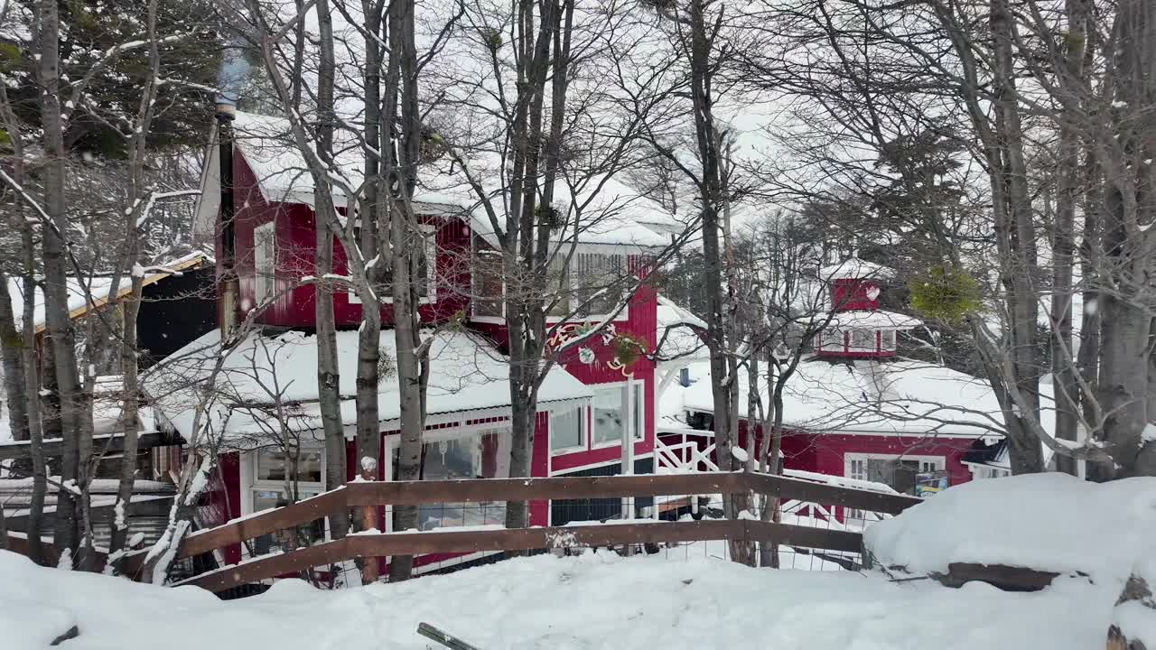 bosque de patagonia en ushuaia en tierra del fuego argentina