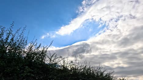 nubes a la deriva a través de un cielo azul