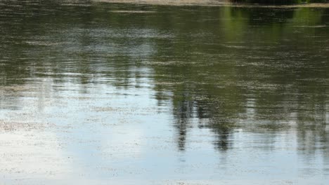 rippling water surface with reflections